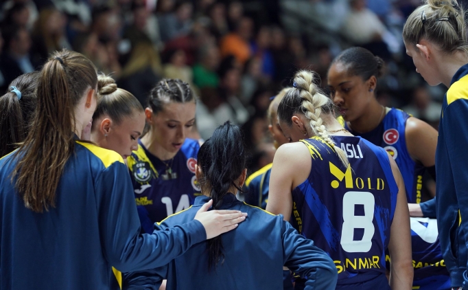 fenerbahce medicana cev sampiyonlar liginde ceyrek finalde Dvby7aDU