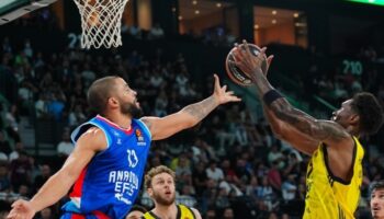 thy euroleague ceosu nbain avrupada lig kurma planina karsi QL3xbS7a