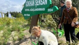 gokhan sensan 2 bin 500 fidanda yasayacak WVSyRjqE