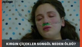 kirgin ciceklerde songul neden oldu JSfB1Z2N