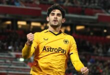 goncalo guedes israri rIR2XsJG