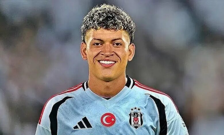 Ricardo’ya 4 talip 1 ricardoya 4 talip t4MxhLbQ