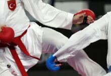 rizede karate soleni YYerCyKM