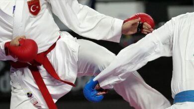 rizede karate soleni YYerCyKM