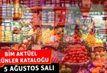 bim aktuel katalogu 5 agustos sali bu sali bimde indirim firsati 8NQ73EK2
